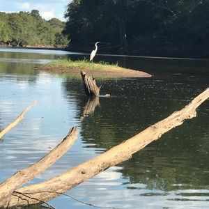 Meet your Posher, Tricia d